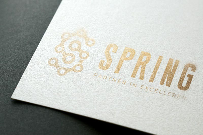 logo spring